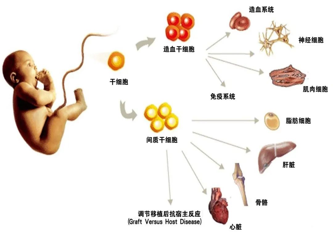 微信圖片_20211014160103.jpg